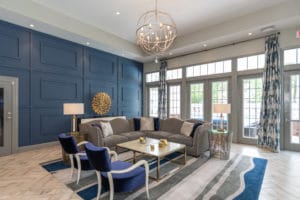 blue schemed seating area